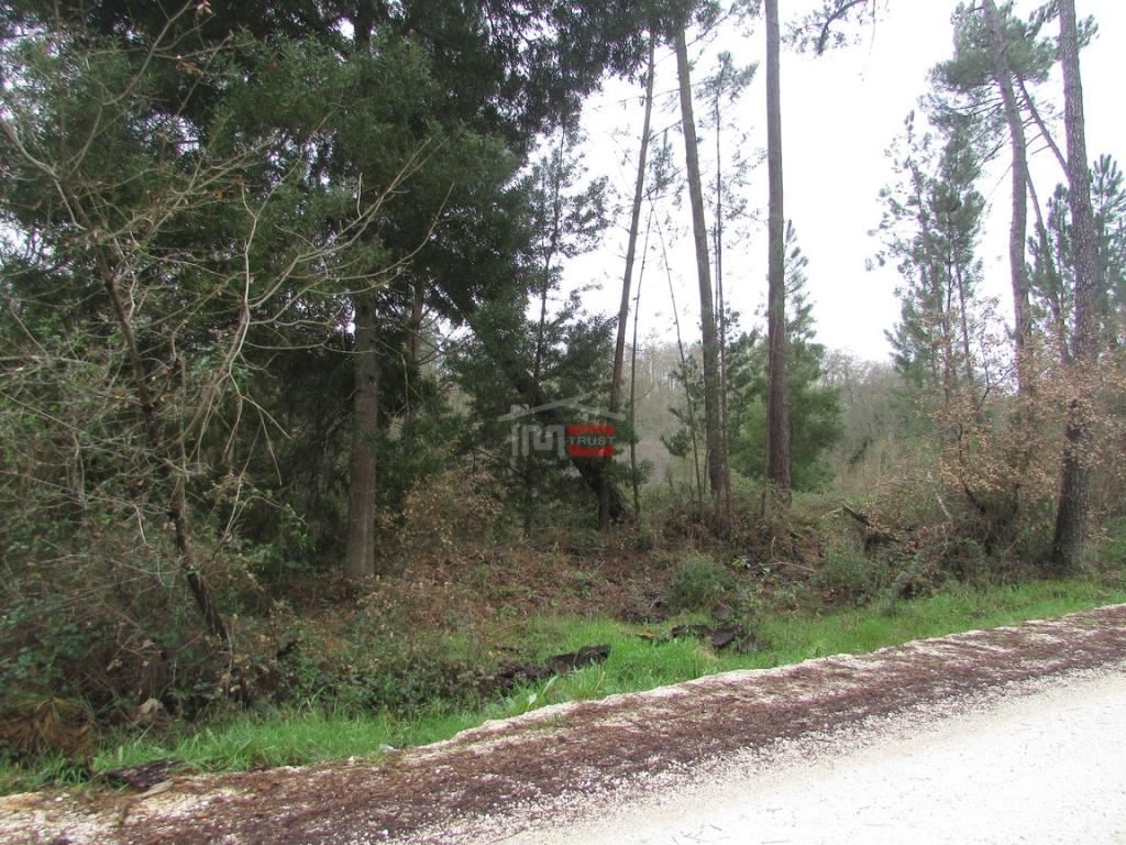 Terreno Agricola ou Rústico para Venda em Rio de Couros e Casal dos Bernardos