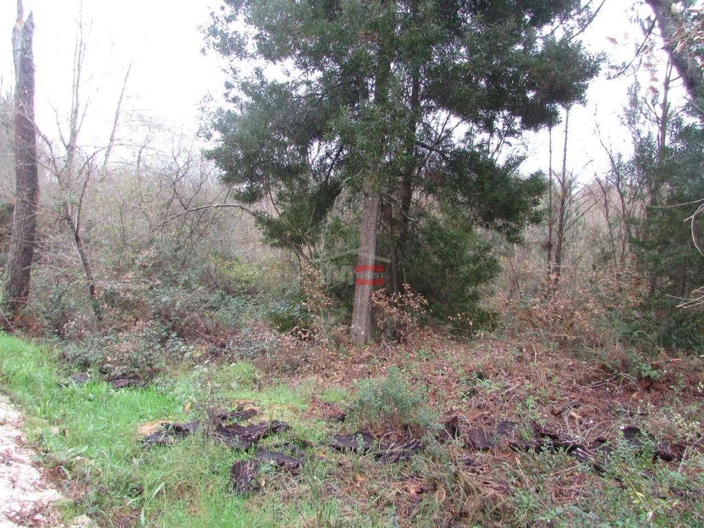 Terreno Agricola ou Rústico para Venda em Rio de Couros e Casal dos Bernardos