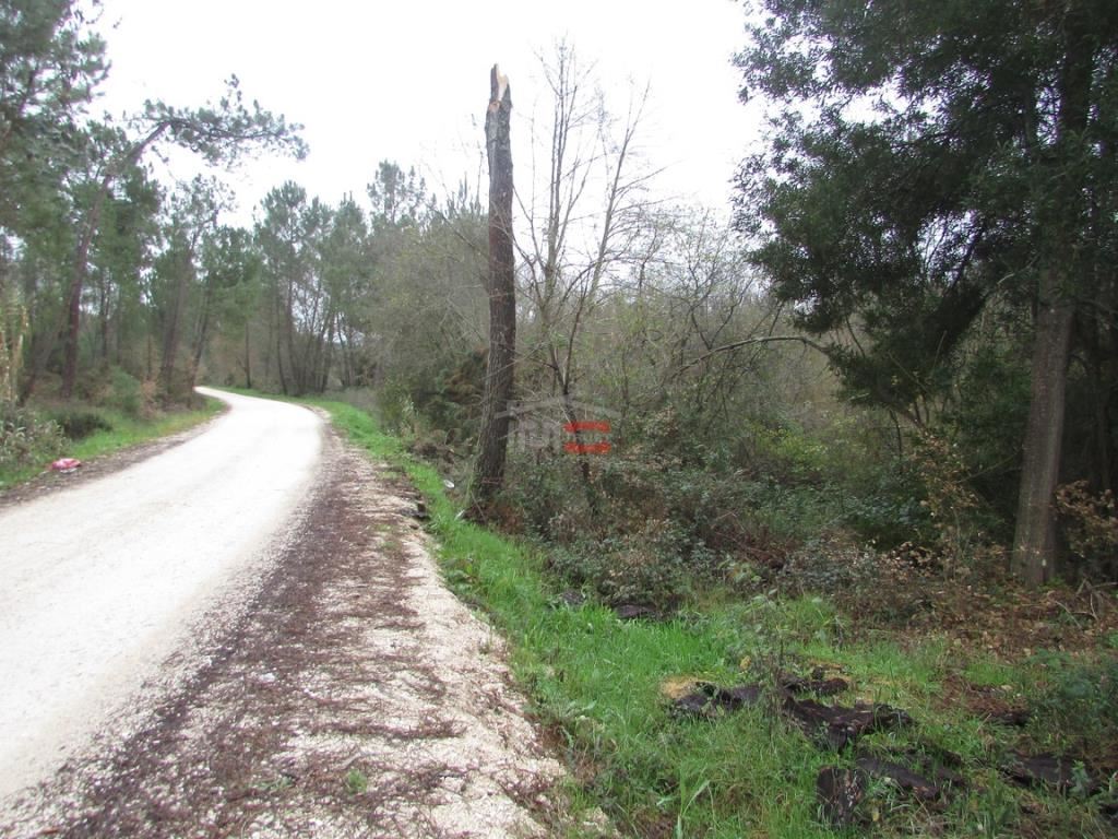 Terreno Agricola ou Rústico para Venda em Rio de Couros e Casal dos Bernardos