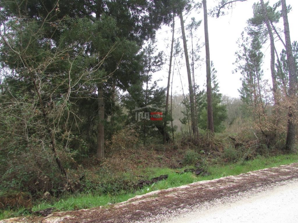 Terreno Agricola ou Rústico para Venda em Rio de Couros e Casal dos Bernardos