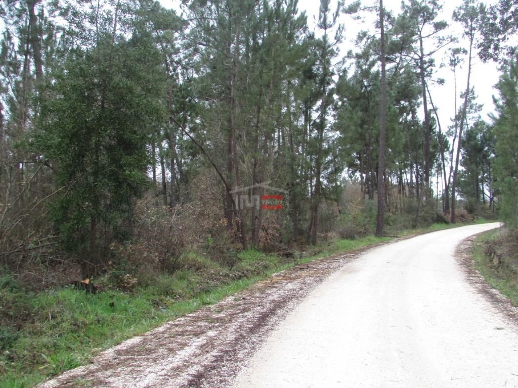 Terreno Agricola ou Rústico para Venda em Rio de Couros e Casal dos Bernardos