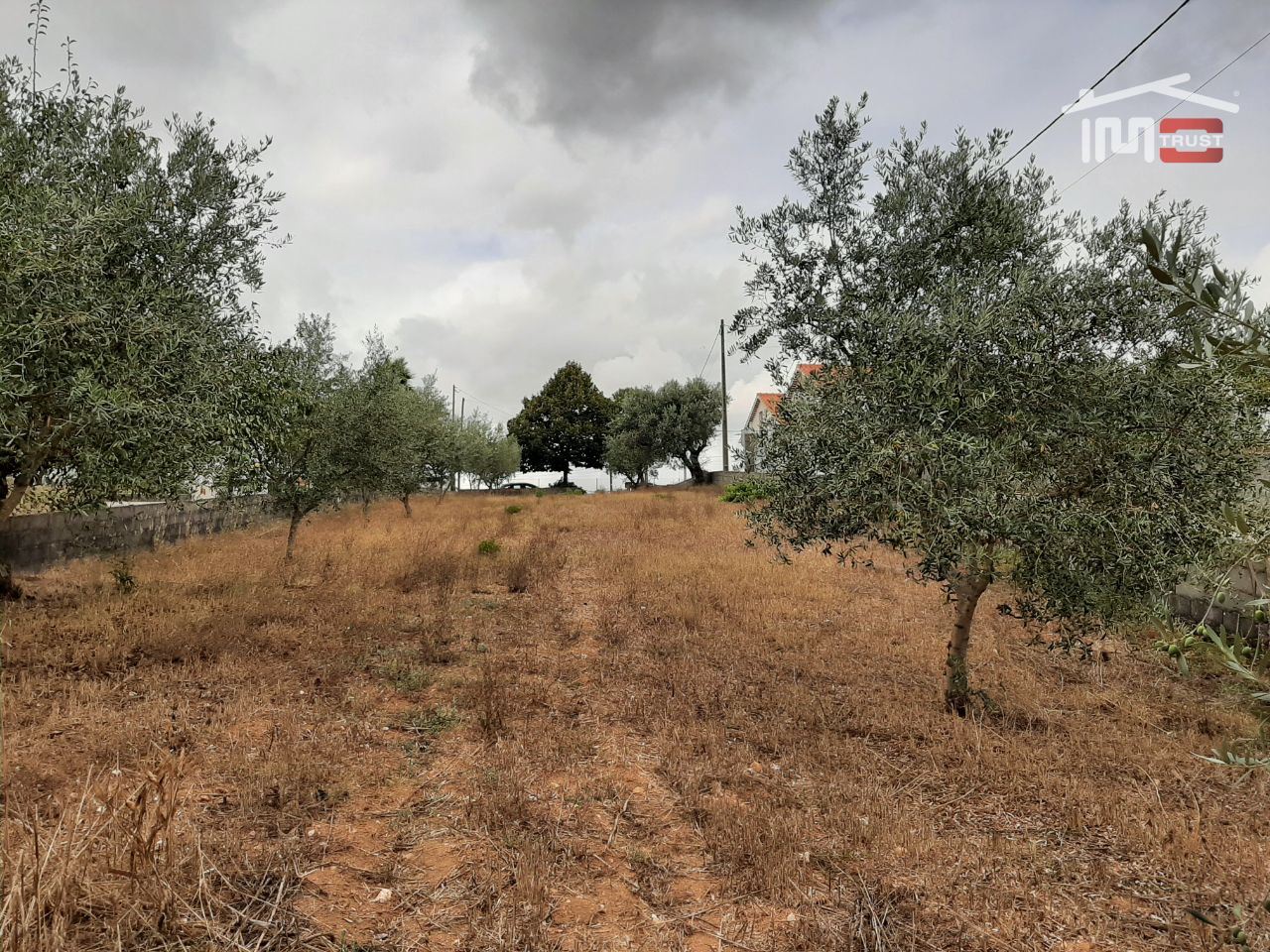 Terreno Agricola ou Rústico para Venda em Fatima