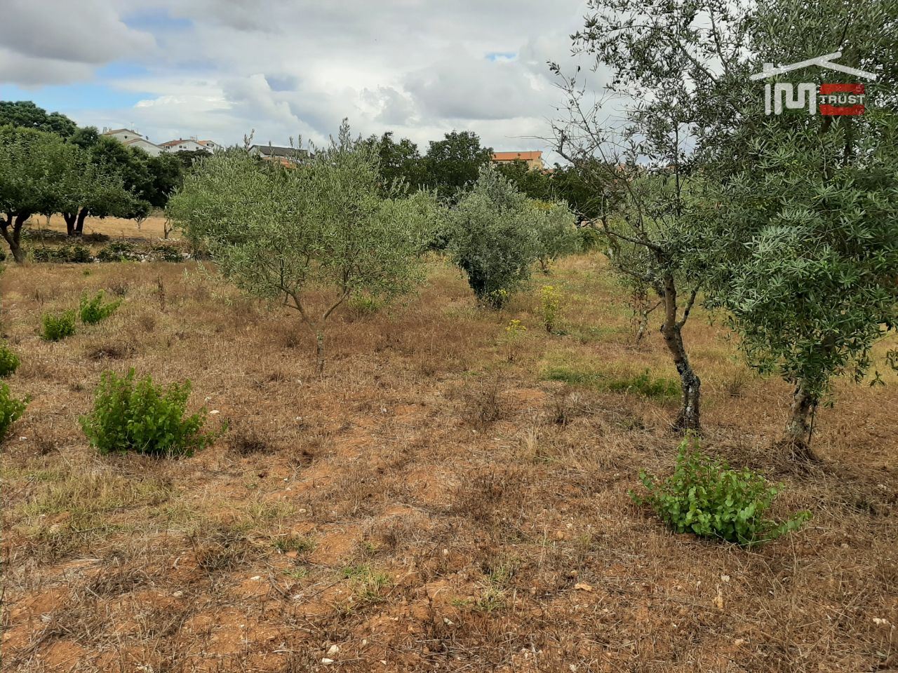 Terreno Agricola ou Rústico para Venda em Fatima