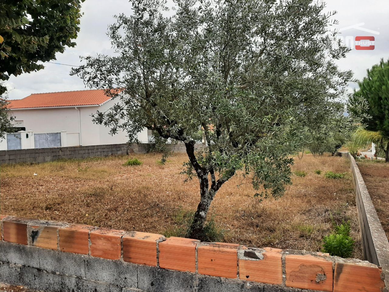 Terreno Agricola ou Rústico para Venda em Fatima