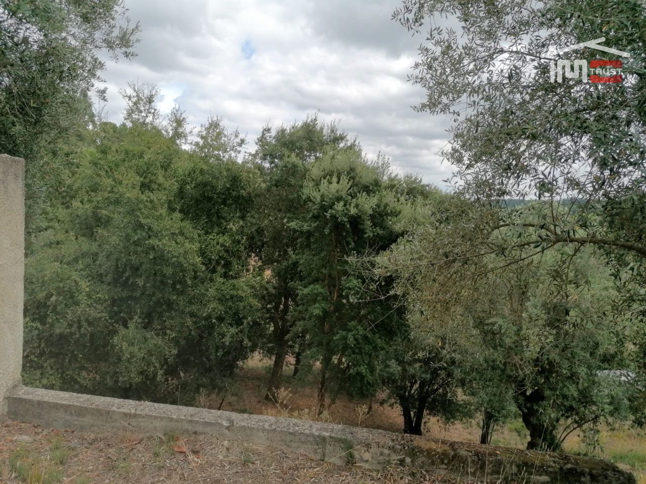 Terreno Agricola ou Rústico para Venda em Gondemaria e Olival