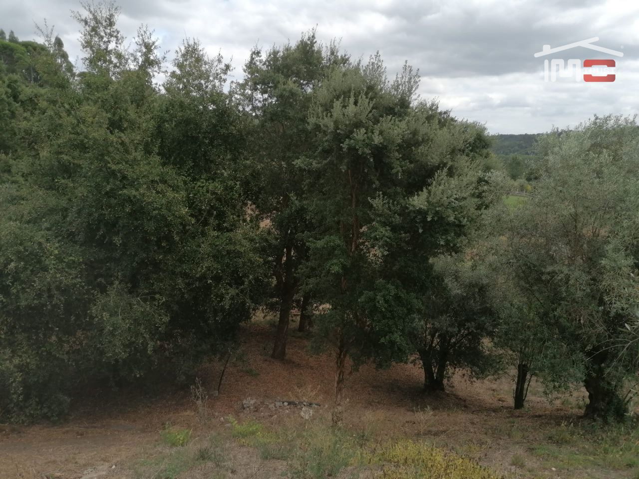 Terreno Agricola ou Rústico para Venda em Gondemaria e Olival