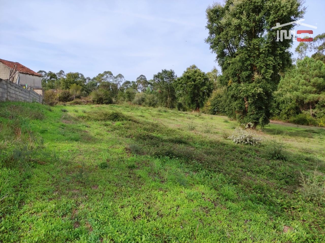 Terreno Agricola ou Rústico para Venda em Nossa Senhora da Piedade