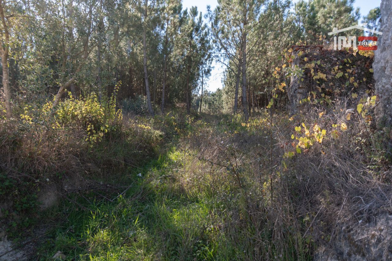 Terreno Agricola ou Rústico para Venda em Caranguejeira