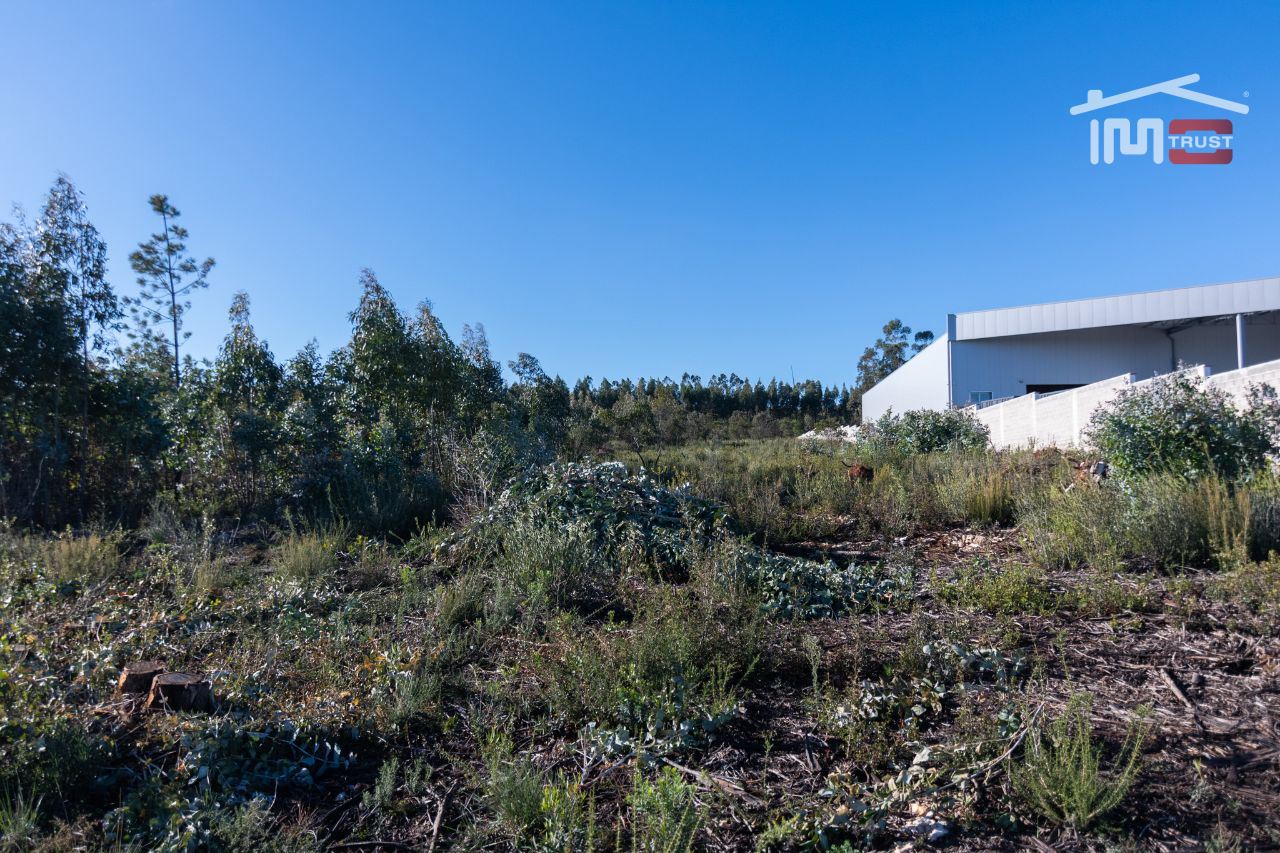 Terreno Agricola ou Rústico para Venda em Fatima