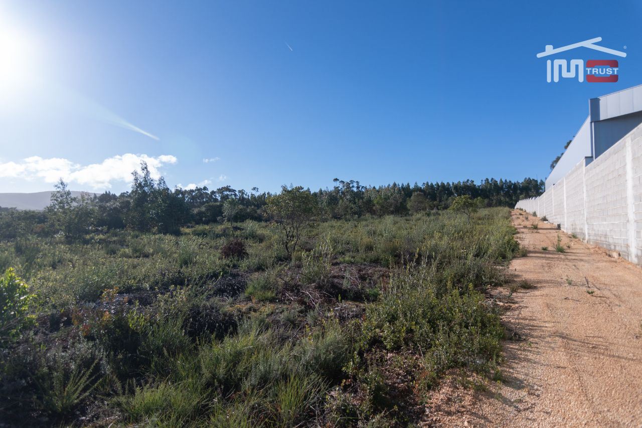 Terreno Agricola ou Rústico para Venda em Fatima