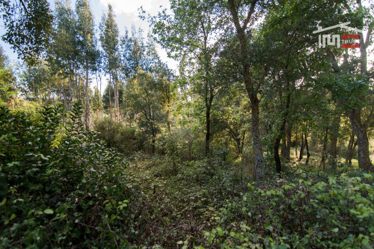 Terreno para Venda em Nossa Senhora da Piedade
