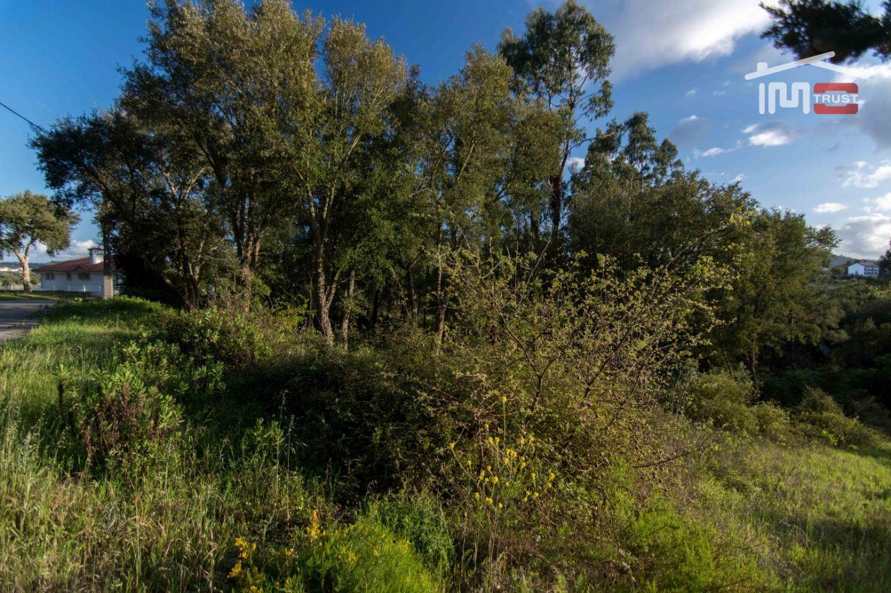 Terreno para Venda em Nossa Senhora da Piedade