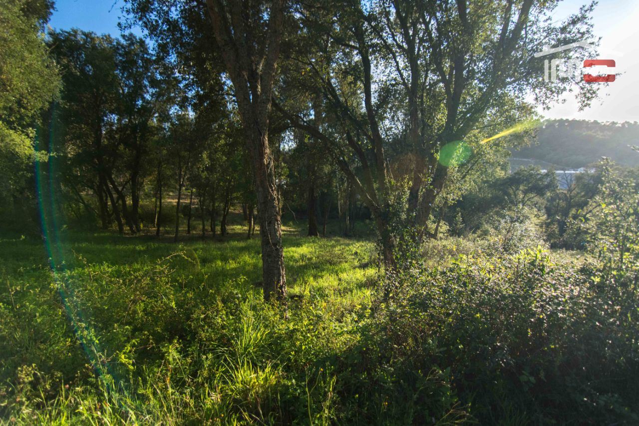 Terreno para Venda em Nossa Senhora da Piedade