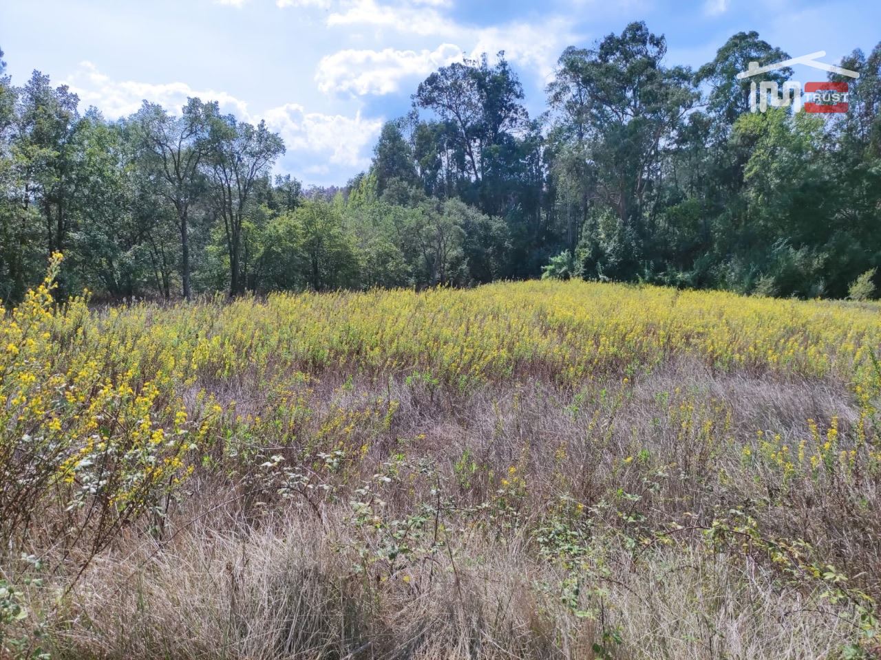 Terreno Agricola ou Rústico para Venda em Urqueira