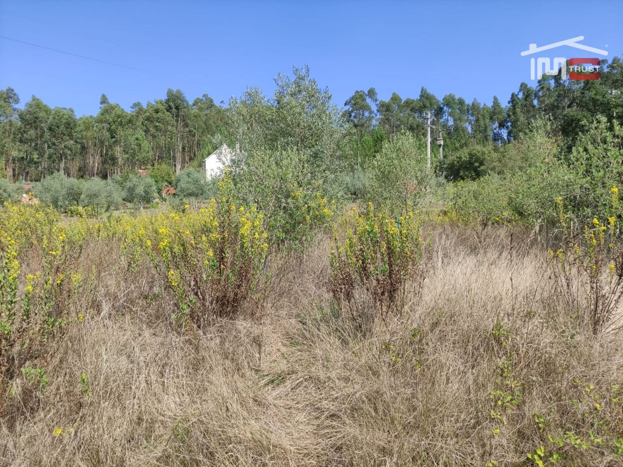 Terreno Agricola ou Rústico para Venda em Urqueira