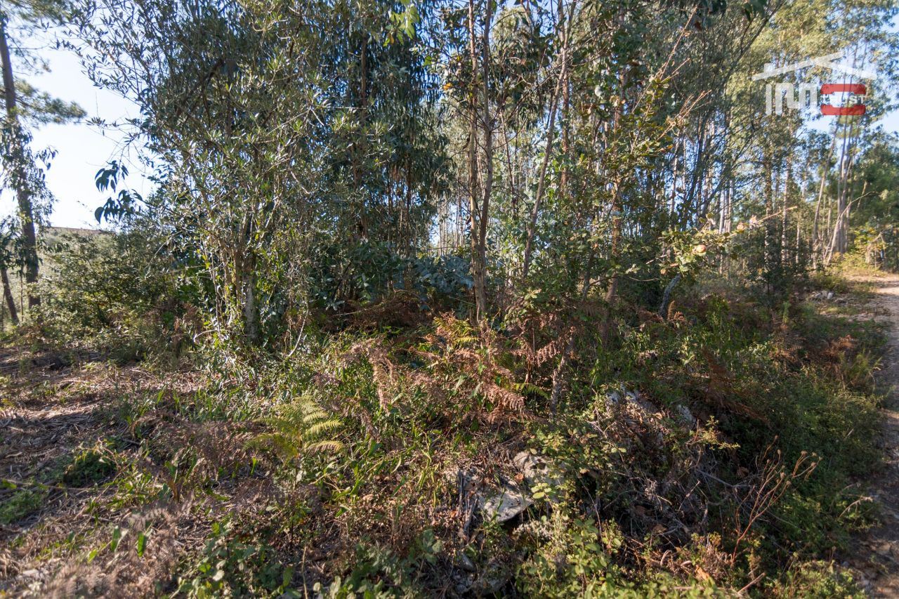 Terreno Agricola ou Rústico para Venda em Santa Catarina da Serra e Chainça
