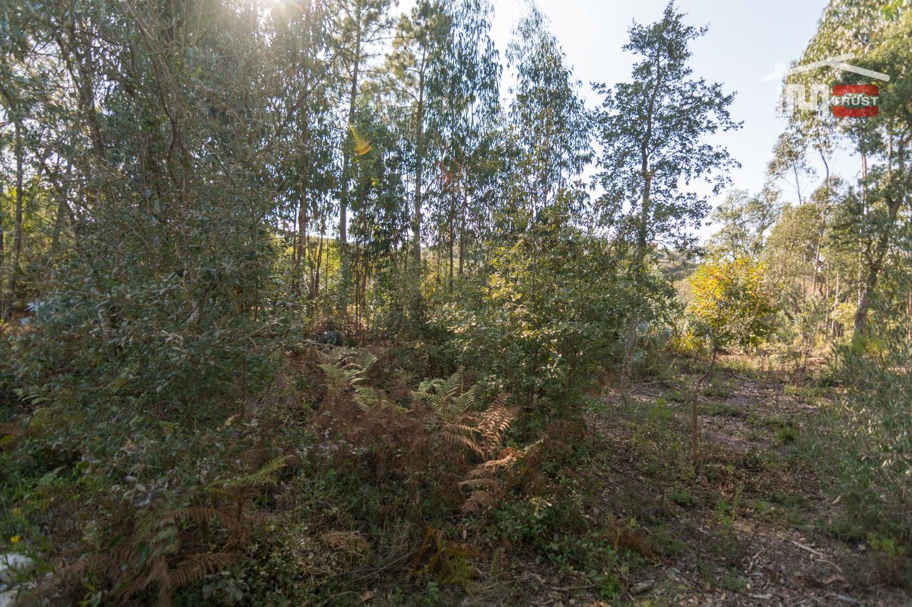 Terreno Agricola ou Rústico para Venda em Santa Catarina da Serra e Chainça