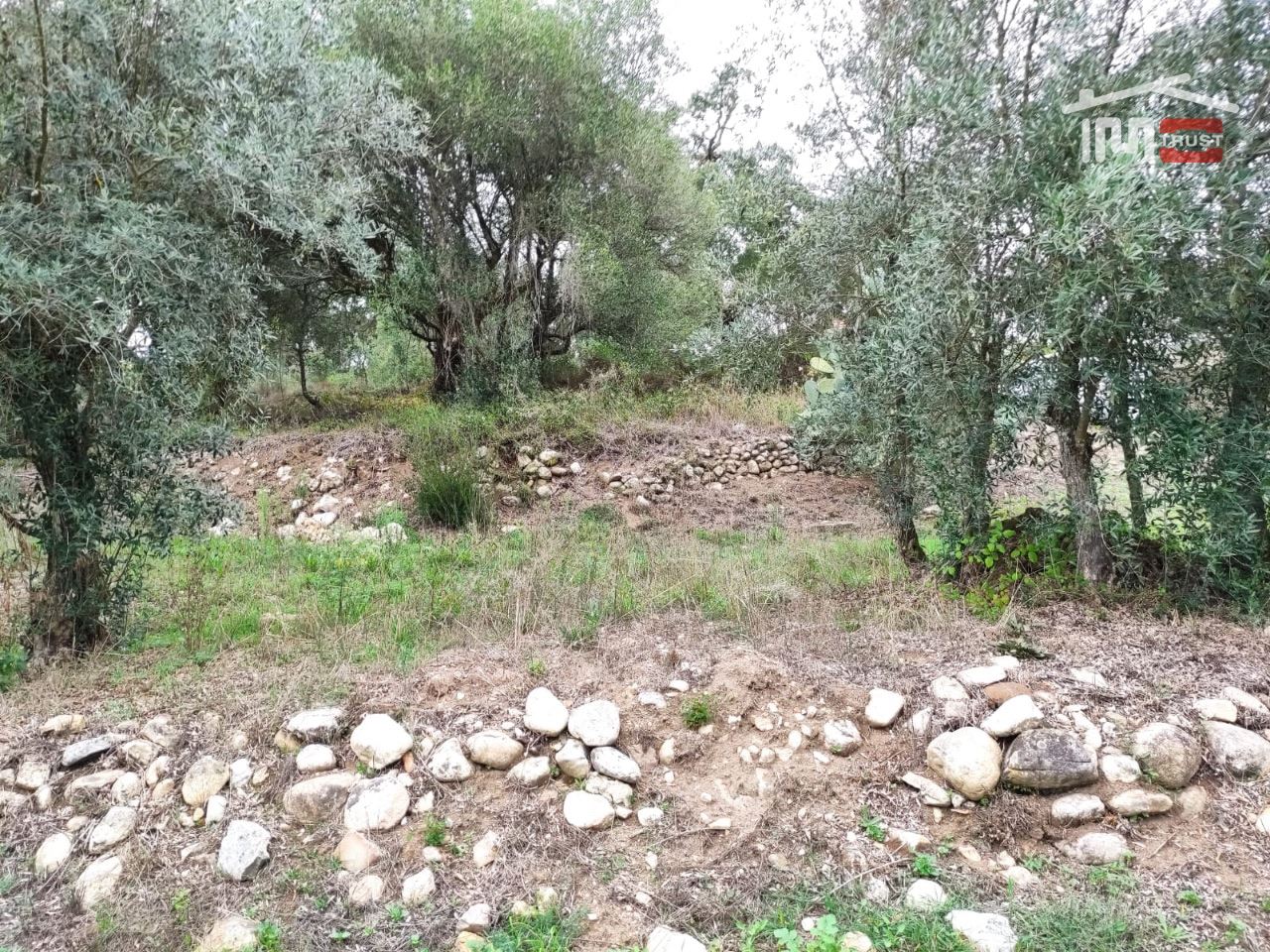 Terreno Agricola ou Rústico para Venda em Urqueira