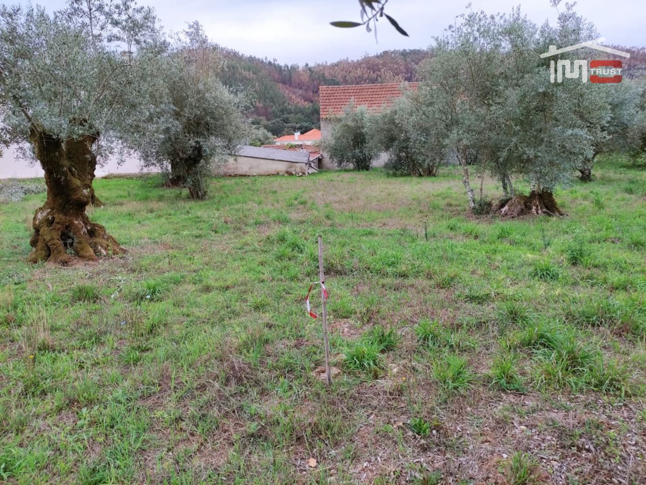 Terreno Agricola ou Rústico para Venda em Urqueira