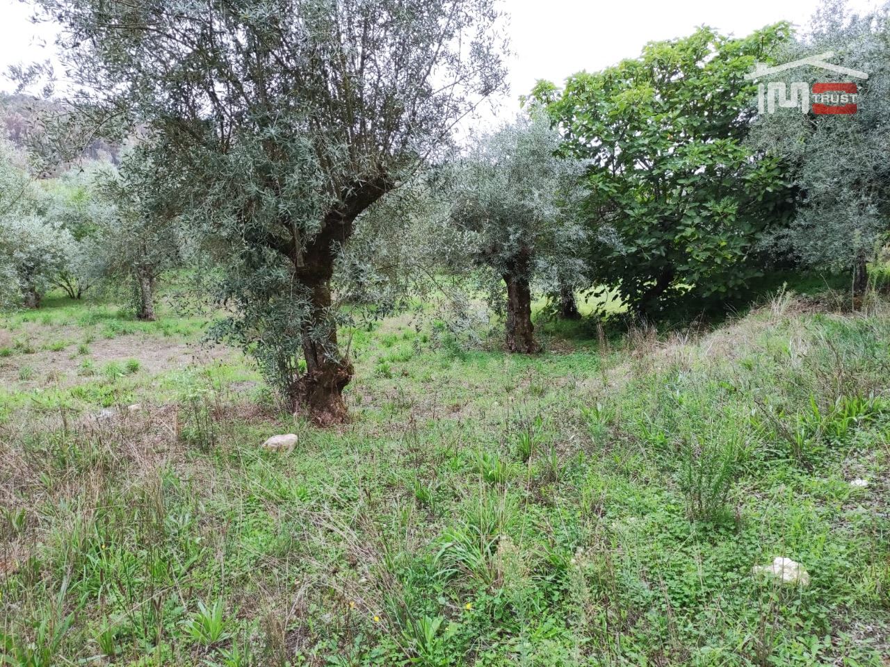 Terreno Agricola ou Rústico para Venda em Urqueira