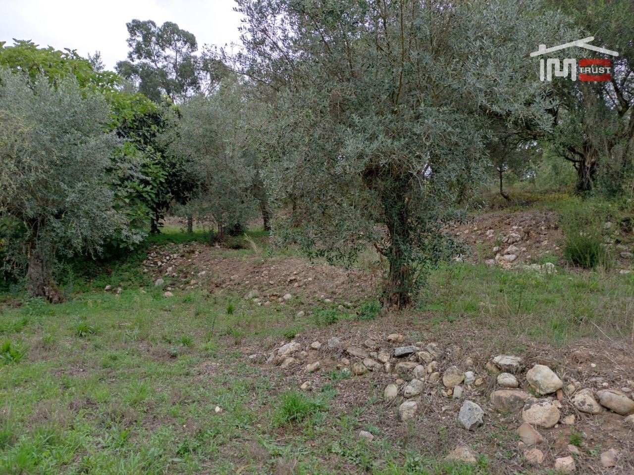 Terreno Agricola ou Rústico para Venda em Urqueira