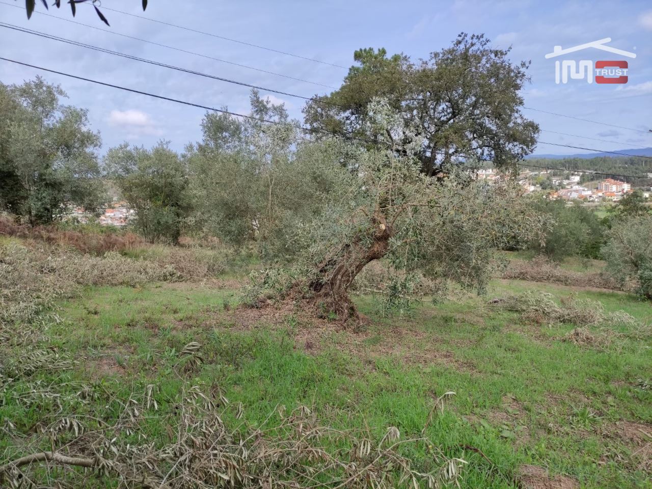 Terreno Agricola ou Rústico para Venda em Seiça