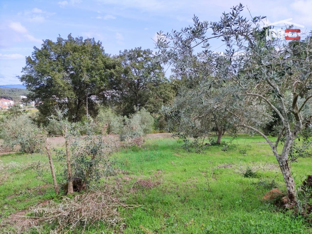 Terreno Agricola ou Rústico para Venda em Seiça