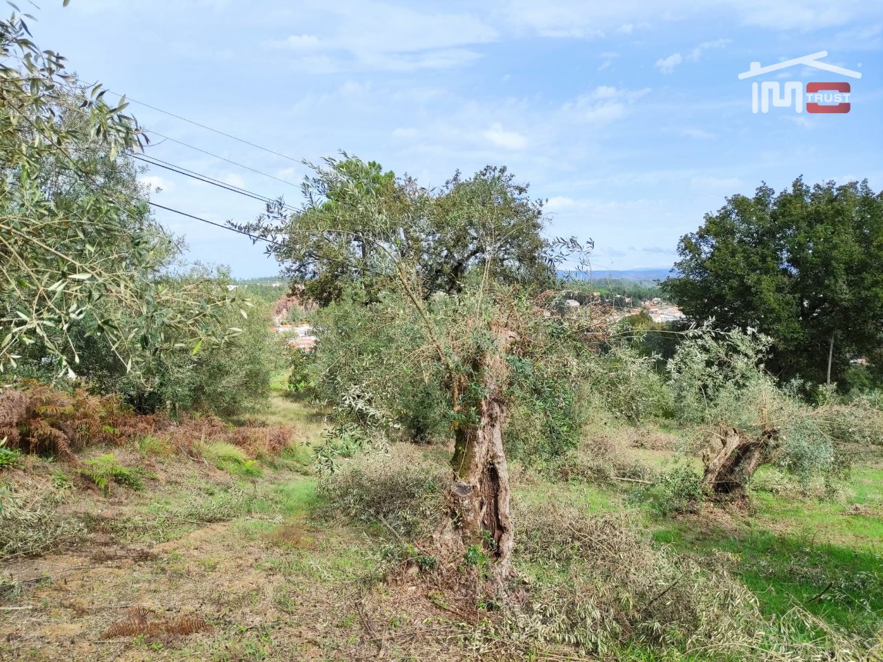 Terreno Agricola ou Rústico para Venda em Seiça