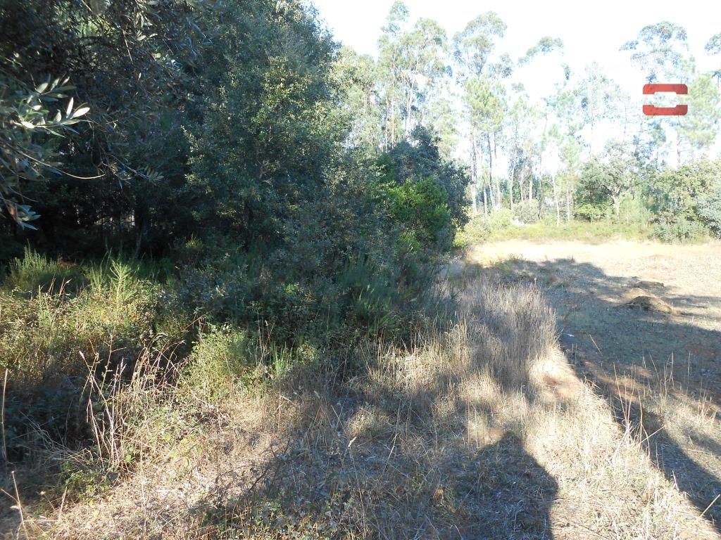 Terreno Agricola ou Rústico para Venda em Fatima