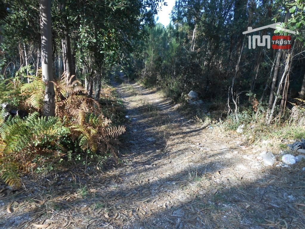 Terreno Agricola ou Rústico para Venda em Fatima