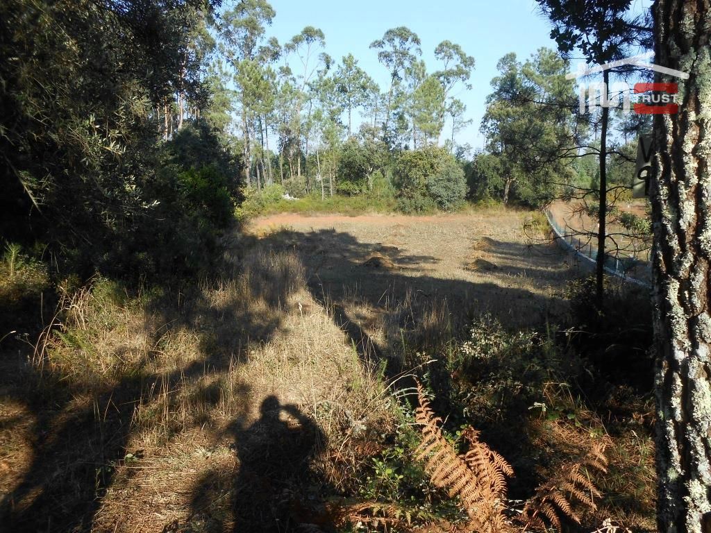 Terreno Agricola ou Rústico para Venda em Fatima