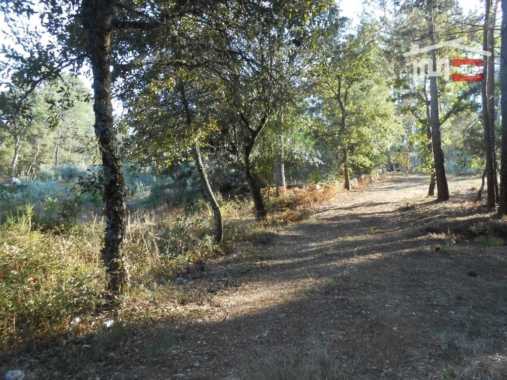 Terreno Agricola ou Rústico para Venda em Fatima