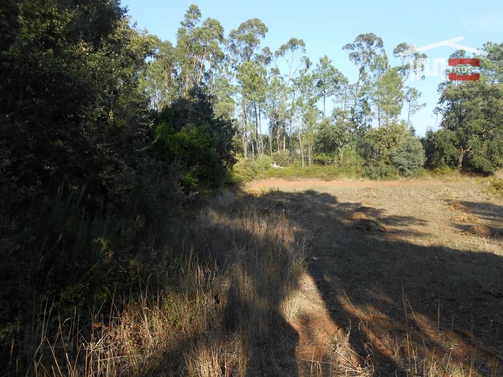 Terreno Agricola ou Rústico para Venda em Fatima