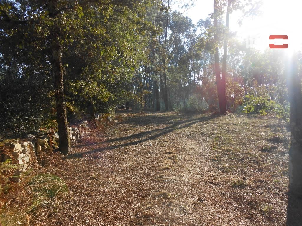 Terreno Agricola ou Rústico para Venda em Fatima
