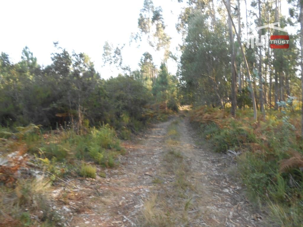 Terreno Agricola ou Rústico para Venda em Fatima
