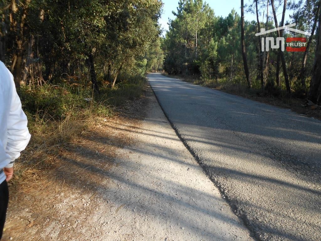 Terreno Agricola ou Rústico para Venda em Fatima