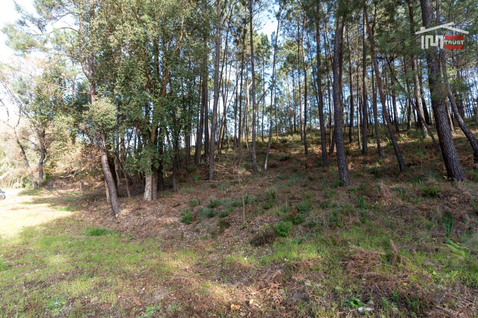 Terreno Agricola ou Rústico para Venda em Seiça