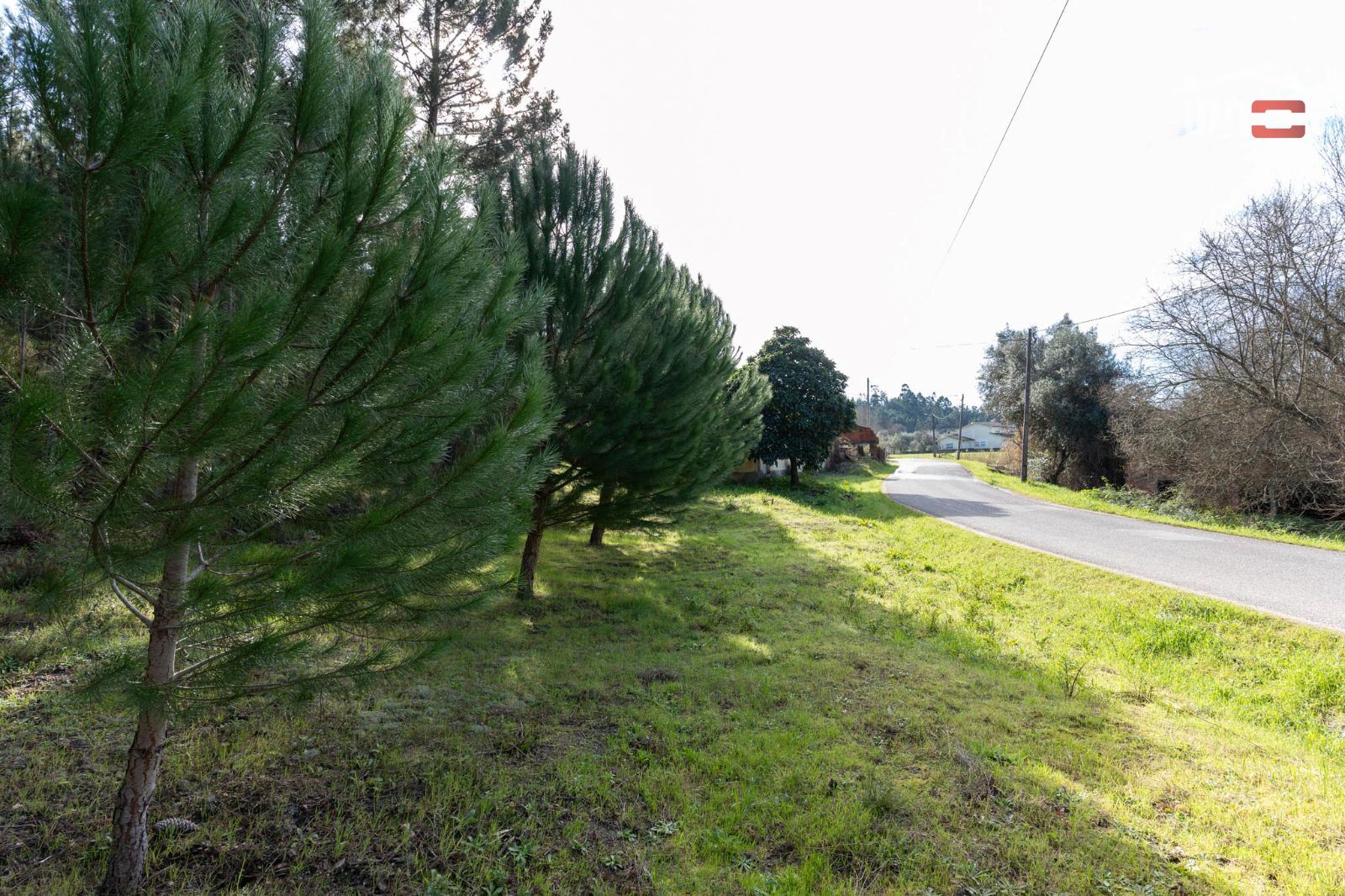 Terreno Agricola ou Rústico para Venda em Seiça