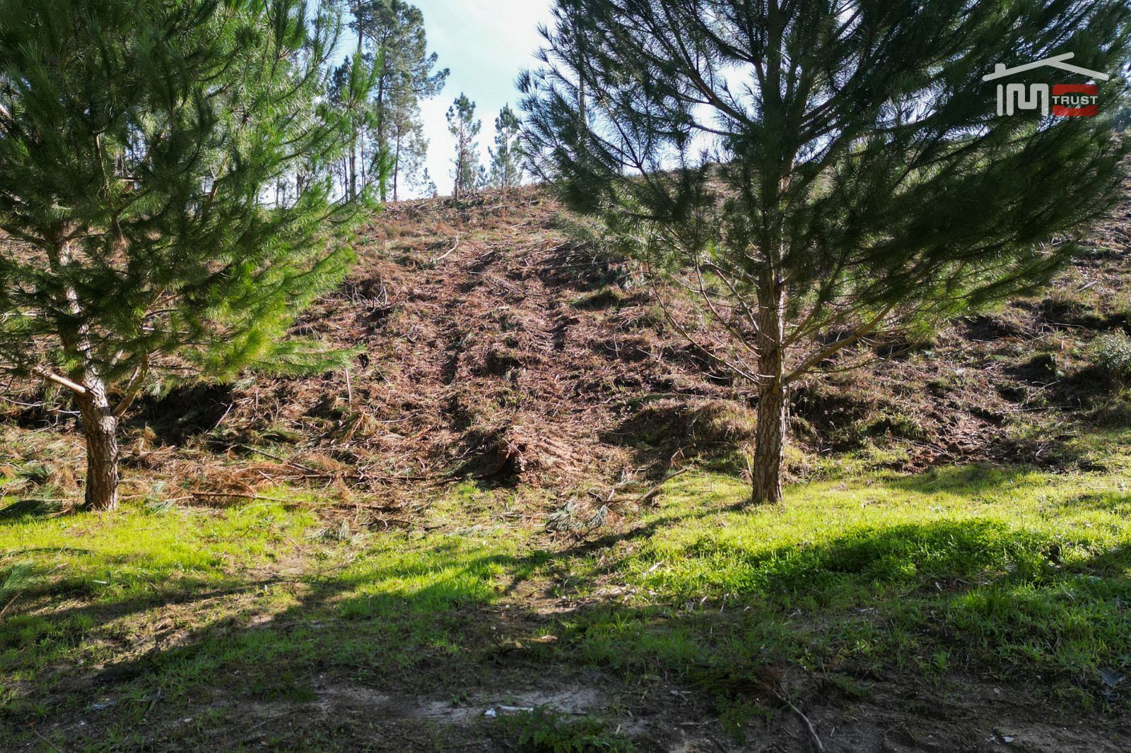 Terreno Agricola ou Rústico para Venda em Seiça