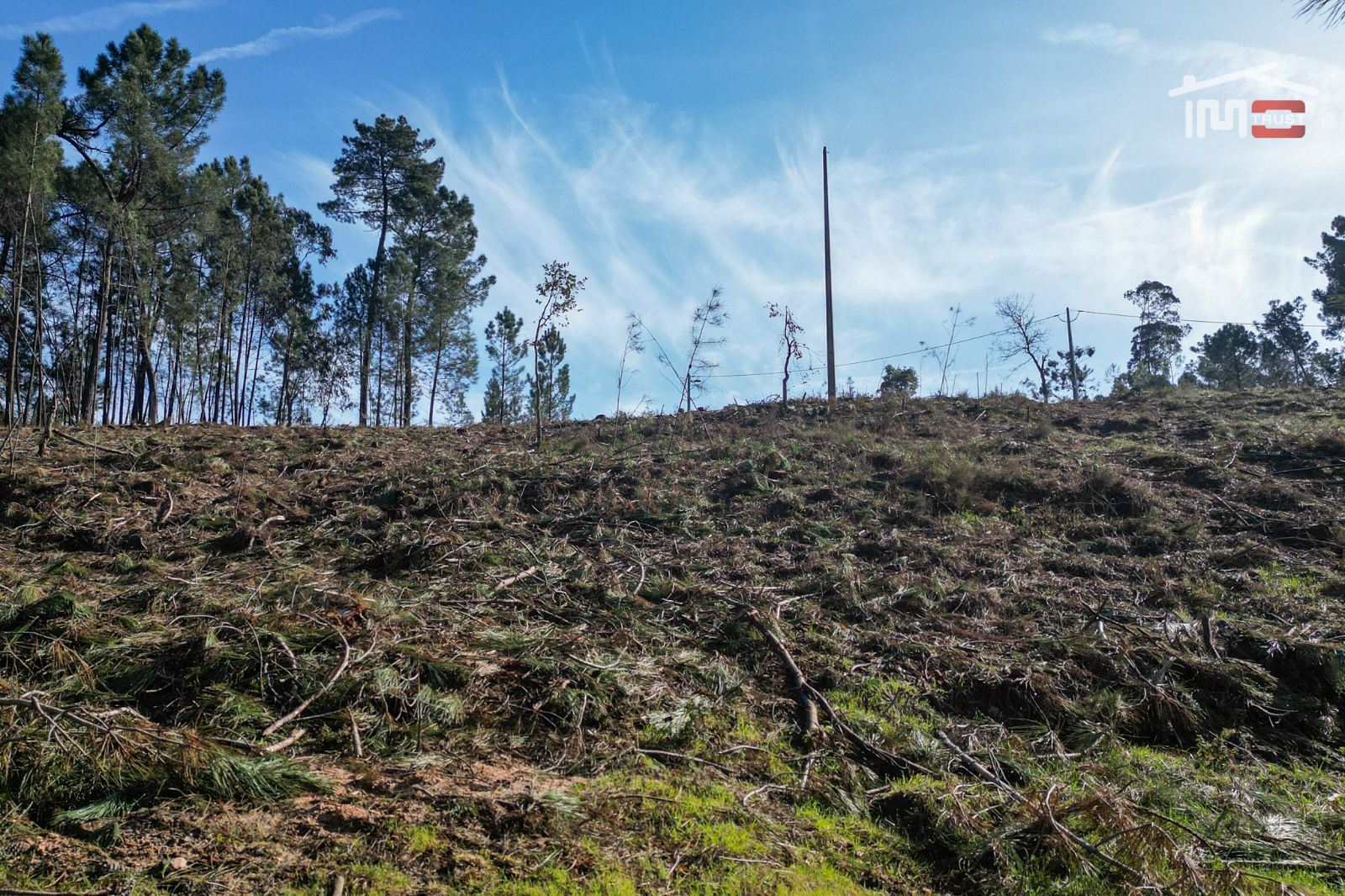 Terreno Agricola ou Rústico para Venda em Seiça
