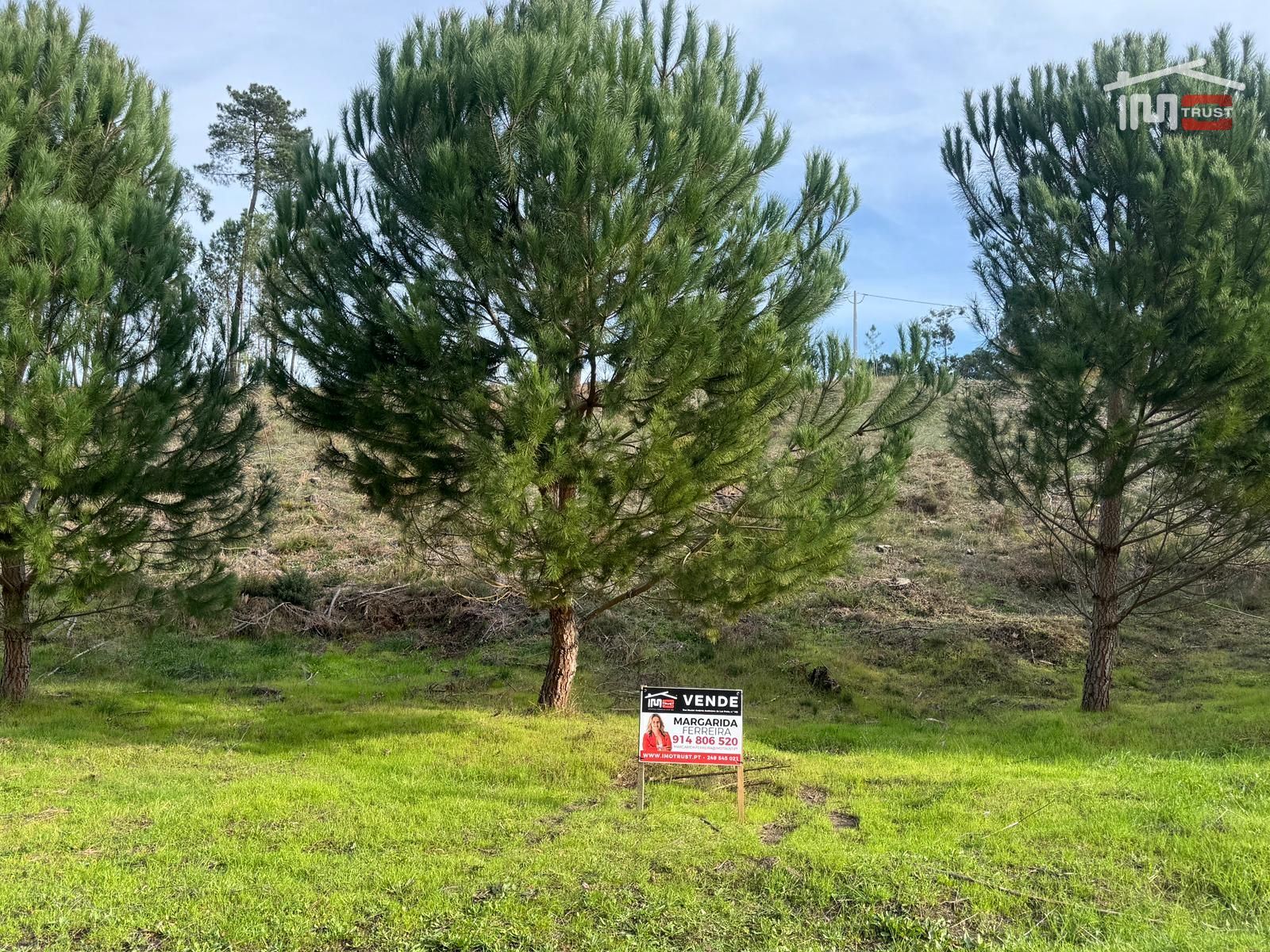 Terreno Agricola ou Rústico para Venda em Seiça