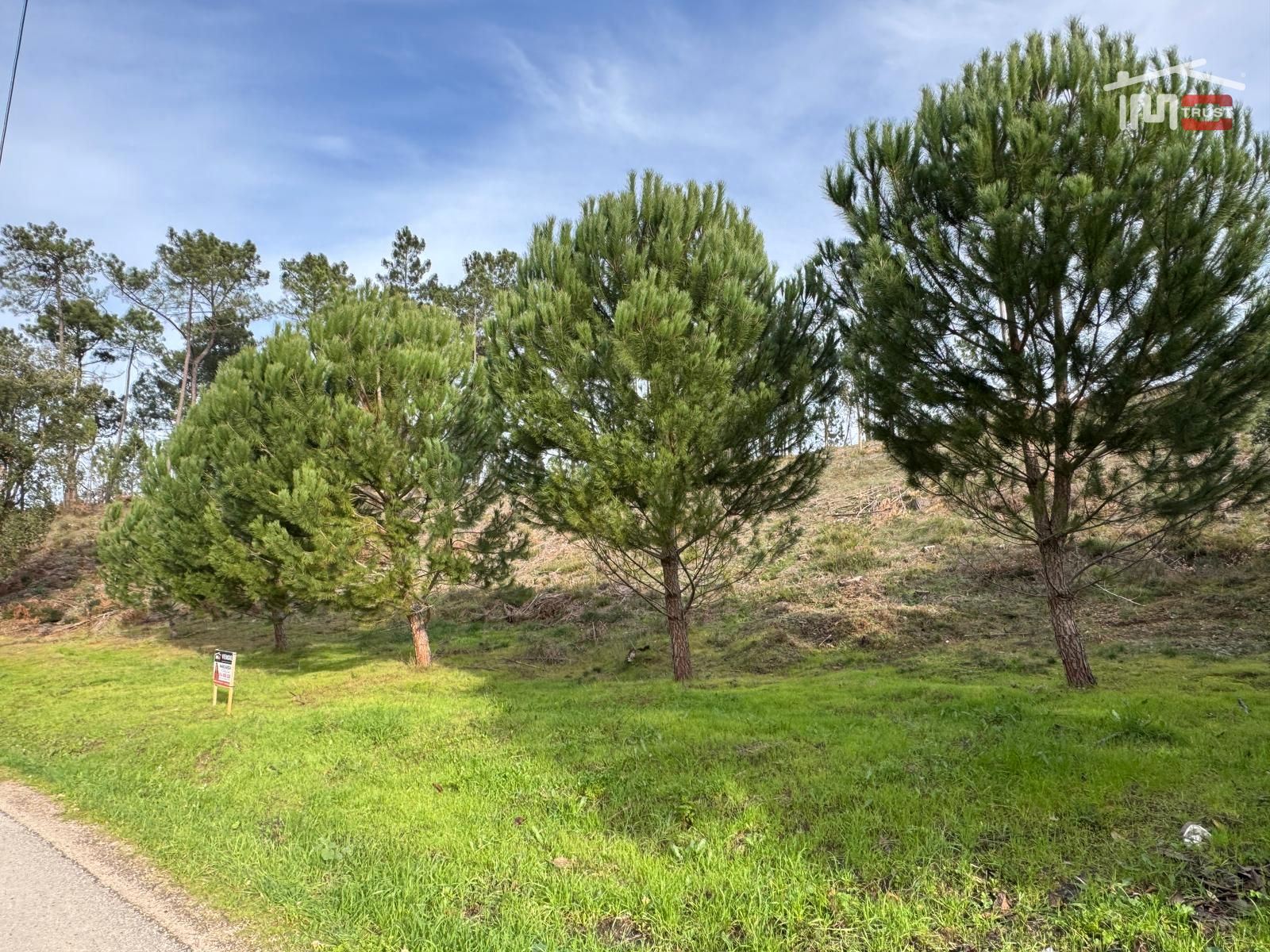 Terreno Agricola ou Rústico para Venda em Seiça