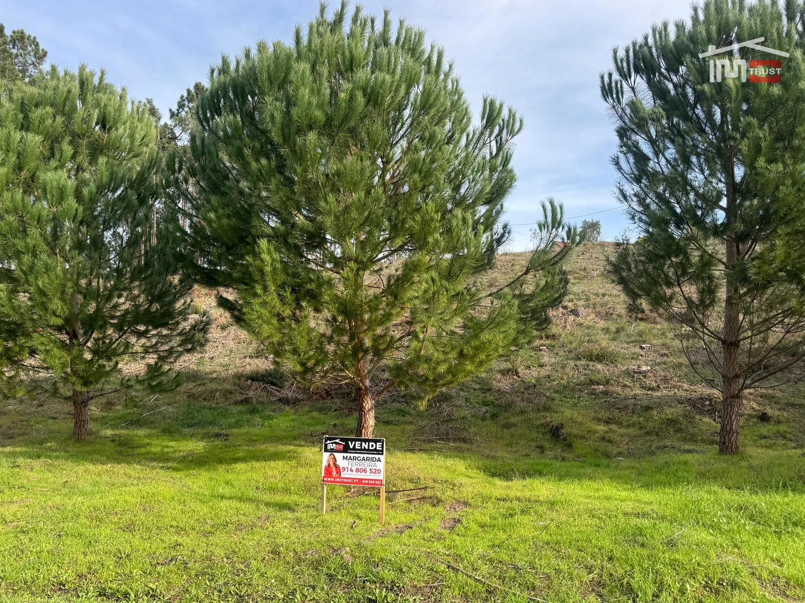Terreno Agricola ou Rústico para Venda em Seiça