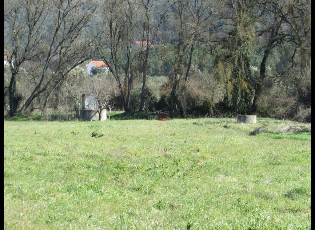 Terreno Agricola ou Rústico para Venda em Freixianda, Ribeira do Fárrio e Formigais