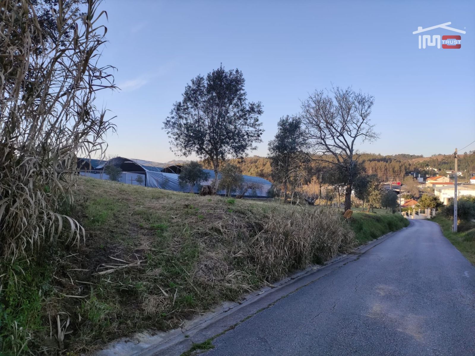 Terreno Agricola ou Rústico para Venda em Atouguia