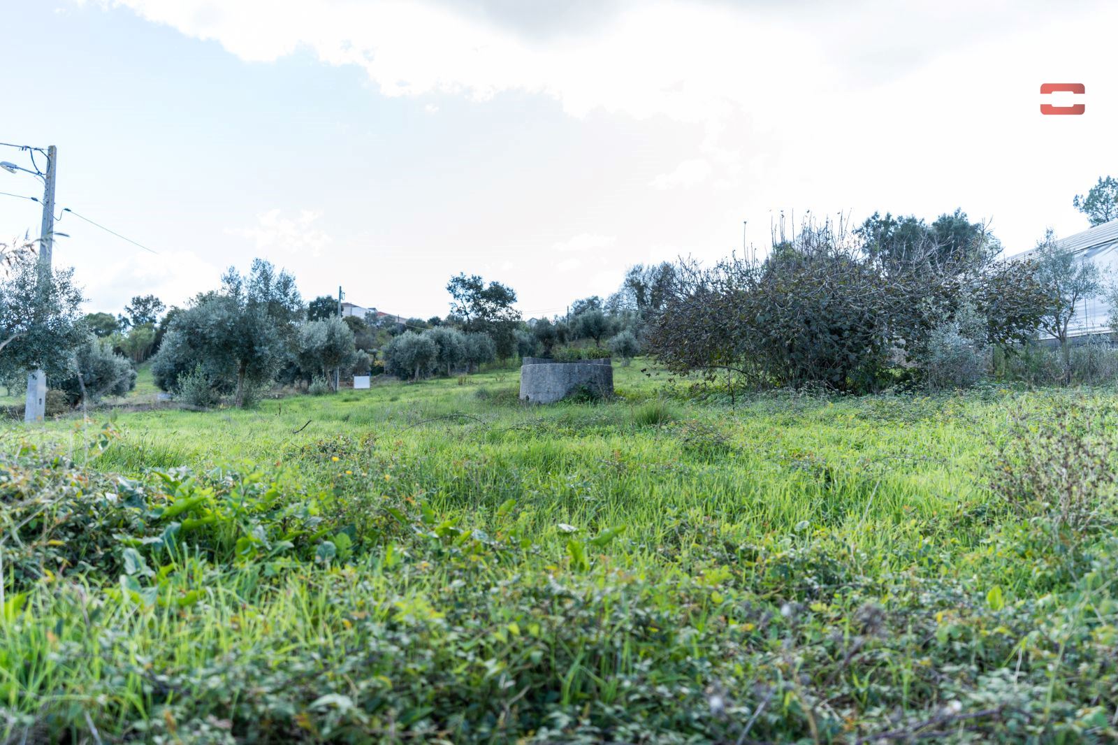 Terreno Agricola ou Rústico para Venda em Atouguia