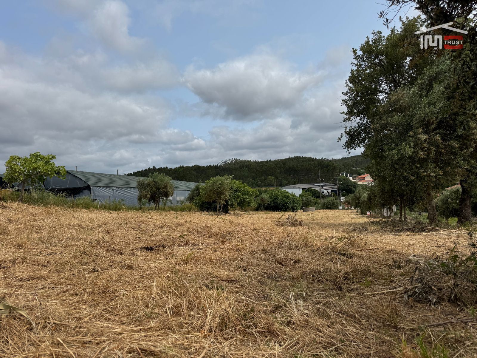 Terreno Agricola ou Rústico para Venda em Atouguia