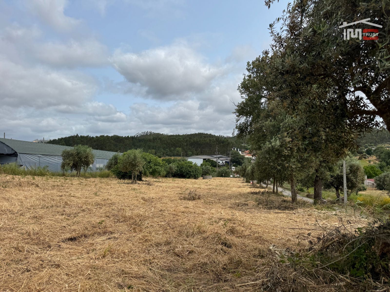 Terreno Agricola ou Rústico para Venda em Atouguia