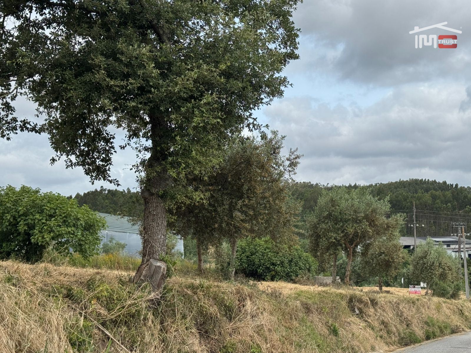 Terreno Agricola ou Rústico para Venda em Atouguia