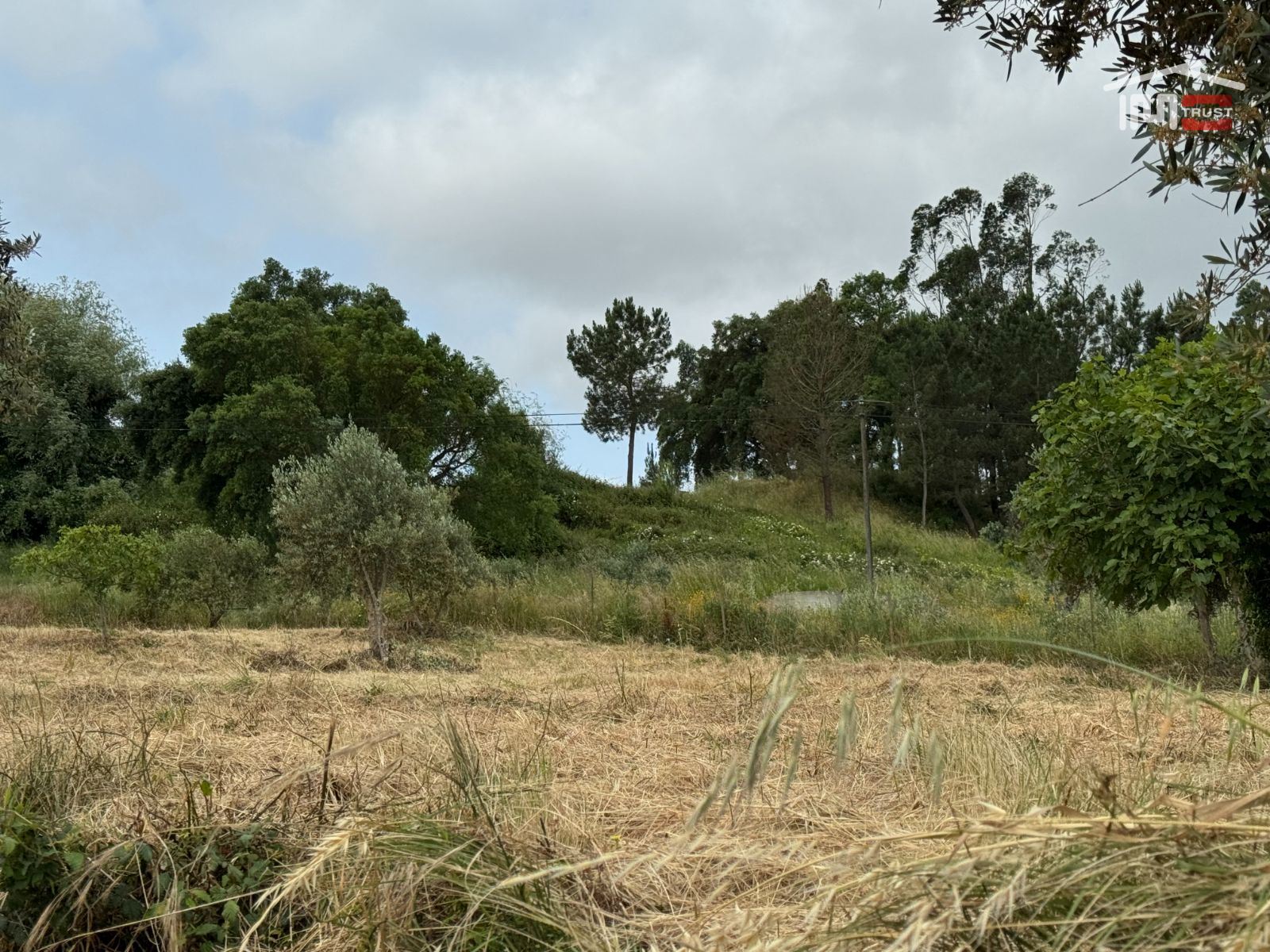 Terreno Agricola ou Rústico para Venda em Atouguia